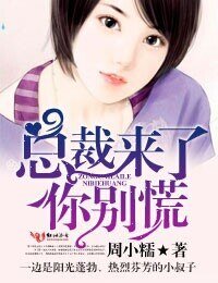 總裁來了,你別慌