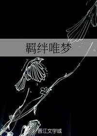 《(BL/奧特曼同人)羈絆唯夢》