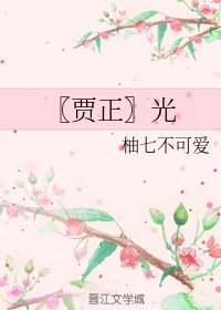 《(BL/賈正同人)光》