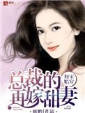 獨家婚寵,總裁的再嫁甜妻