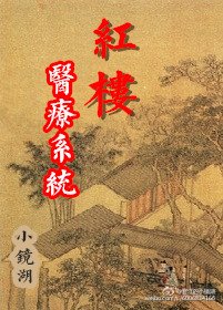 (红楼同人)红楼医疗系统