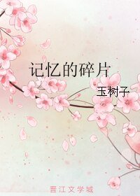 记忆的碎片