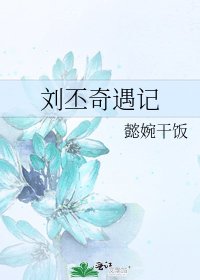 《刘丕奇遇记》