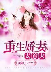 重生之鑑寶女王/重生嬌妻太惹火