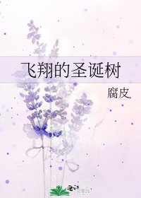 《飞翔的圣诞树》