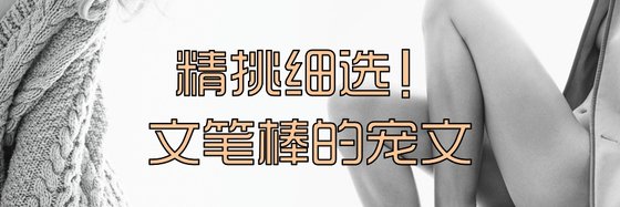 精挑細選！文筆棒的寵文