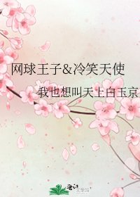 《網球王子&冷笑天使》