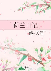 《荷蘭日記》
