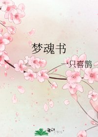 《夢魂書》