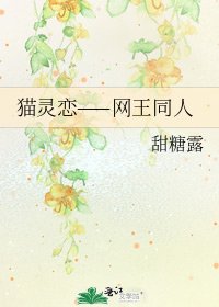 《猫灵恋——网王同人》