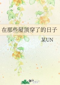 《在那些屋頂穿了的日子》