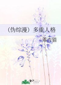 《(伪综漫)多重人格》